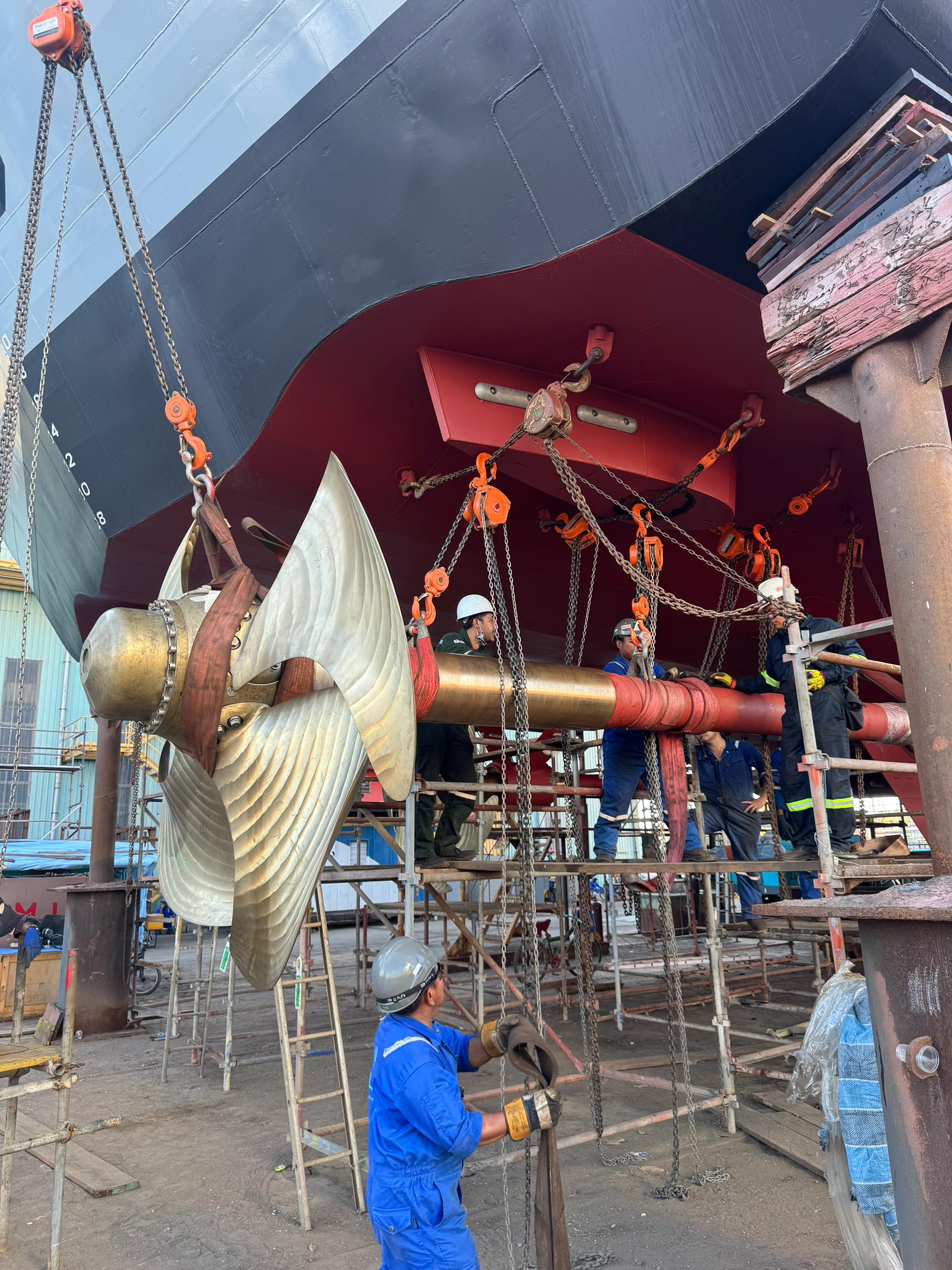 WhatsApp Image 2026-04-09 at 11.34.14